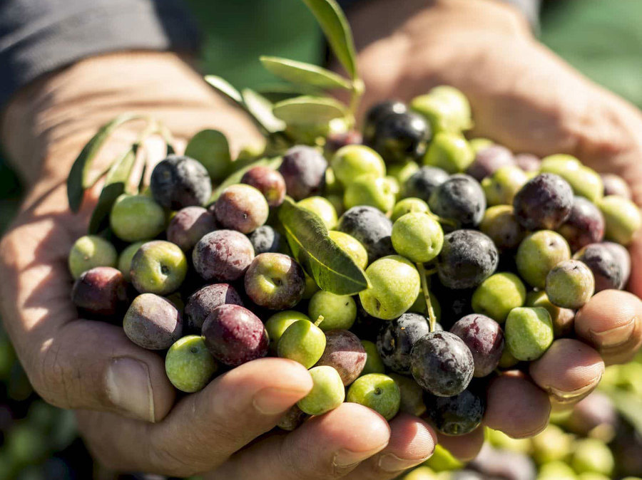 Creemos en la NATURALEZA