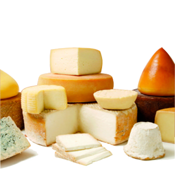 Queso Español de Alta Calidad