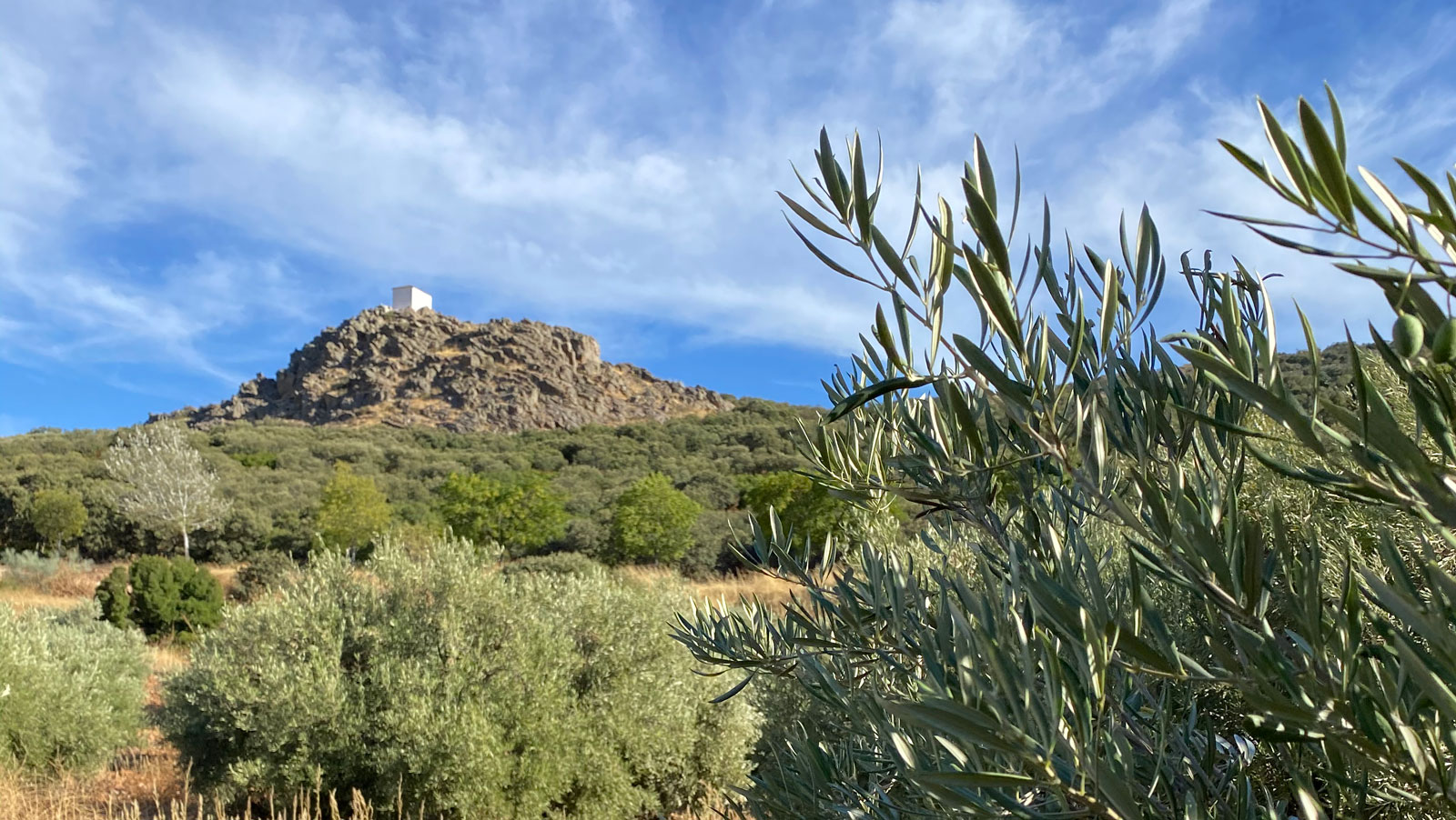 La Mancha